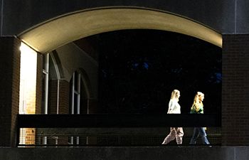 Students in Falmer House at night