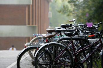 Bikes locked to bike racks on campus