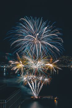 Fireworks explode in the night sky