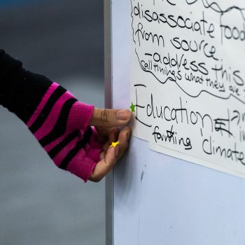 A student votes for their favourite ideas for reducing meat demand on campus, by sticking a star shaped sticker next to the title saying 