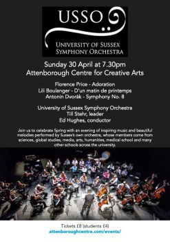 A picture of an orchestra performing at the Attenborough Centre