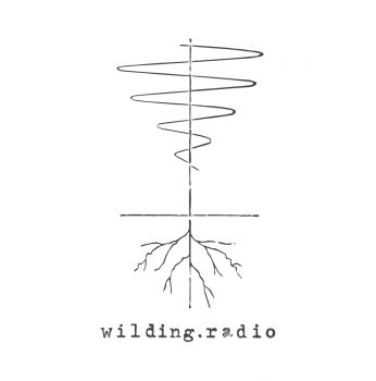 Logo of wilding radio