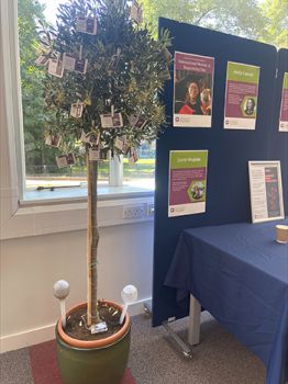 Side image of the wishing tree at the School of Engineering and Informatics