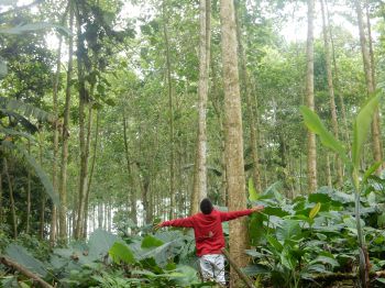Young person photographs what matters to them in their local area - lowland forested Chocó region of Ecuador