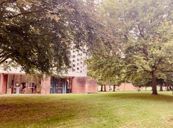 Trees on campus with an autumnal filter
