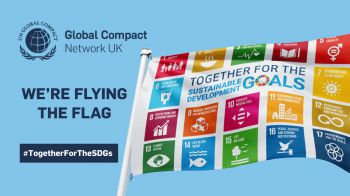 United Nations Sustainable Development Goals flag showing all 17 goals with icons