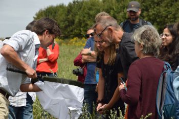 People staring into a insect trap on a field visit to Wiston Estate