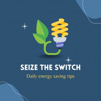 An energy saving lightbulb graphic with a green vine and leaf as a wire, on a dark blue background with lighter blue colouring in the corners. The image glistens and the text reads 