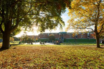 University of Sussex, campus