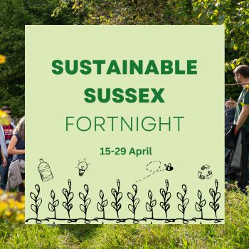 A sustainable Sussex Fortnight Graphic with illustrations of flora, recycling, bottles, and a lightbulb.