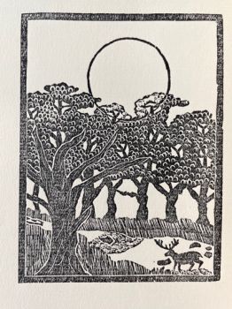 A printing press black and white image of a stag in a woodland