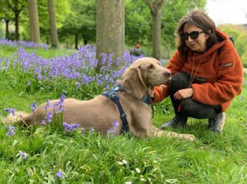 Sabina leaning down in wooded area to stroke a dog sitting on the ground