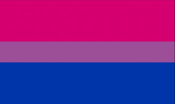 Pink, purple and blue bi-visibility flag