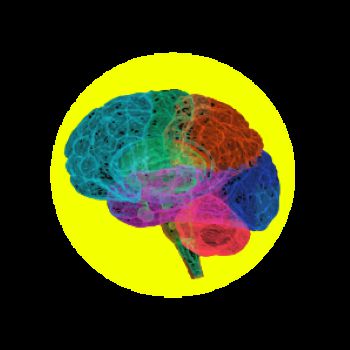 Logo reading 'Neurodiversity Staff Network' with bright image of multi coloured brain