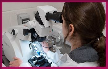 A person with brown hair tied in a ponytail is using a white microscope in a laboratory setting. The person's face is blurred, and the background includes laboratory equipment and a white wall.