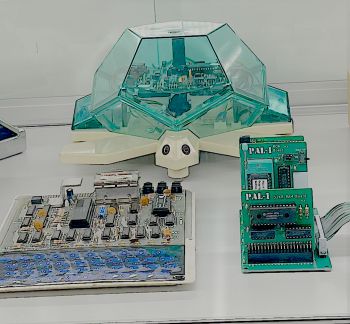 display case with bits and bobs