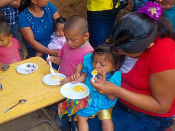 Making sense of micronutrients - Mothers’ views from Guatemala and Peru